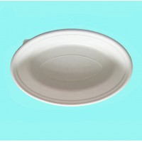 100% Biodegradable Tested By SGS Products Biodegradable White Paper Disposable Bowls