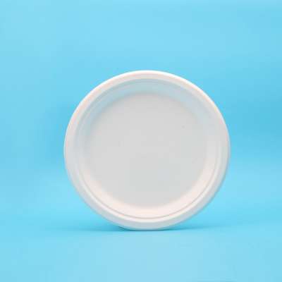 Biodegradable Products Sugarcane Fast Food Disposable Plate