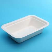 Toxic Free And Safe Clamshell Biodegradable Sugarcane Pulp Platters Lunch Disposable Food Tray