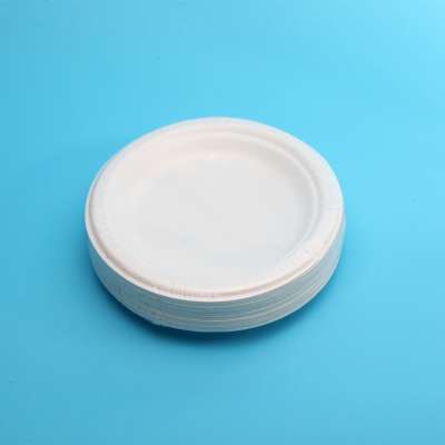 Water And Oil Resistant 100% Biodegradable Compostable Materials 6 Inch Sugar Cane Pulp Plate