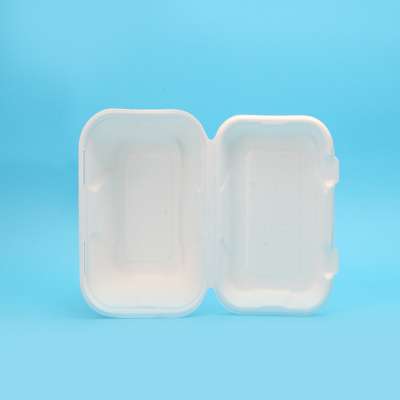 Disposable Food Container Sugarcane Pulp Compostable Lunch Food Disposable Lunch Boxes