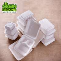 Custom biodegradable disposable clamshell lunch box one time use food container