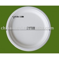 disposable food plate