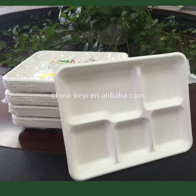 Desechables school lunch tray