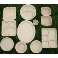 unbleached biodegradable compostable eco disposable sugarcane bagasse bamboo pulp plate tray bowl hinged box