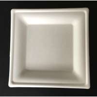 biodegradable eco-friendly disposable square plate paper bagasse fibre