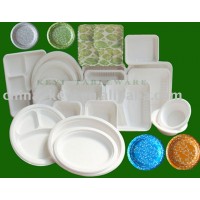 paper tableware