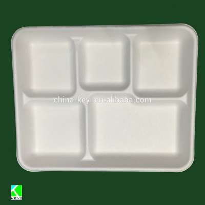 biodegradable 5 compartment trays