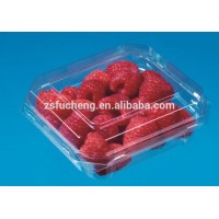 Disposable Transparent PET Small plastic Rectangle packaging Box/ container