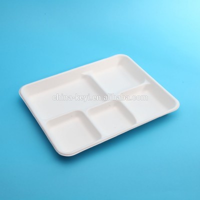 Five Compartment Eco-friendly Disposable School/Prison Food Tray