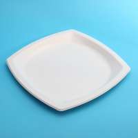 Compostable Materials Eco Friendly Compostable Food Container Food Disposable Tray