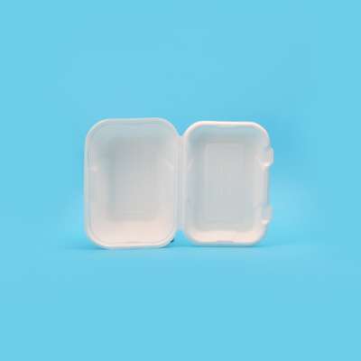 Factory Direct Sales Biodegradable Sugarcane Pulp Eco-Friendly Hamburger Disposable Sandwich Box