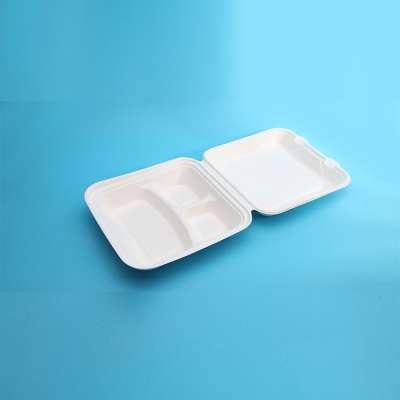 Compostable Clamshell Compartment Disposable Lunch Box For Kids