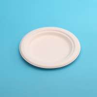 Renewable Plant Materials Sugarcane Disposable Nice Party Plates