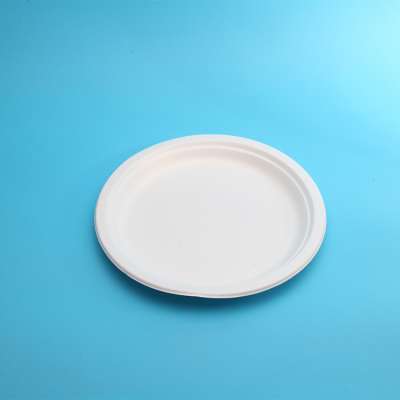 High Quality Disposable Biodegradable Degradable Paper Plate